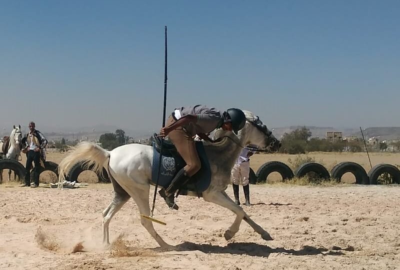 ابطال منتخب الفروسية في معسكر داخلي وبقاء ثمانية فرسان