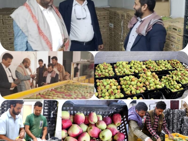 وكيل محافظة صنعاء يشيد بدور مؤسسة الفتح للإنتاج والتسويق الزراعي في دعم المزارع وتصدير المنتجات الزراعية للاسواق العالمية